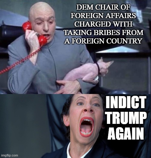 Dr Evil and Frau | DEM CHAIR OF FOREIGN AFFAIRS CHARGED WITH TAKING BRIBES FROM A FOREIGN COUNTRY; INDICT TRUMP AGAIN | image tagged in dr evil and frau | made w/ Imgflip meme maker