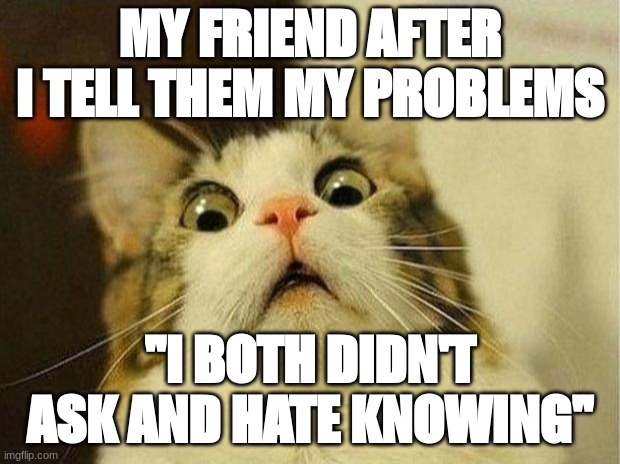Scared Cat | MY FRIEND AFTER I TELL THEM MY PROBLEMS; "I BOTH DIDN'T ASK AND HATE KNOWING" | image tagged in memes,scared cat | made w/ Imgflip meme maker