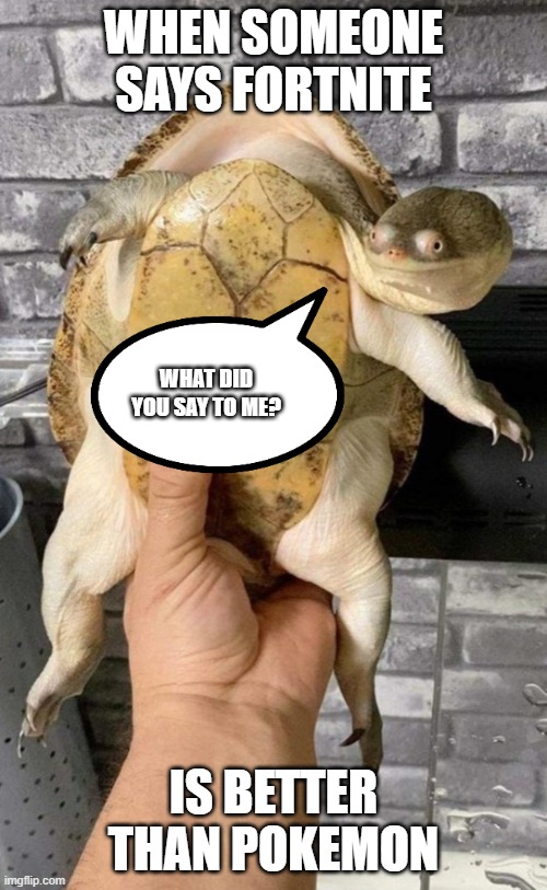 Really don't know why Fortnite isn't dead yet | WHEN SOMEONE SAYS FORTNITE; WHAT DID YOU SAY TO ME? IS BETTER THAN POKEMON | image tagged in what you sayin' turtle | made w/ Imgflip meme maker