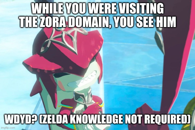 Baby Sidon rp! (rules in tags) | WHILE YOU WERE VISITING THE ZORA DOMAIN, YOU SEE HIM; WDYD? (ZELDA KNOWLEDGE NOT REQUIRED) | image tagged in joke rps allowed,no throwing him | made w/ Imgflip meme maker
