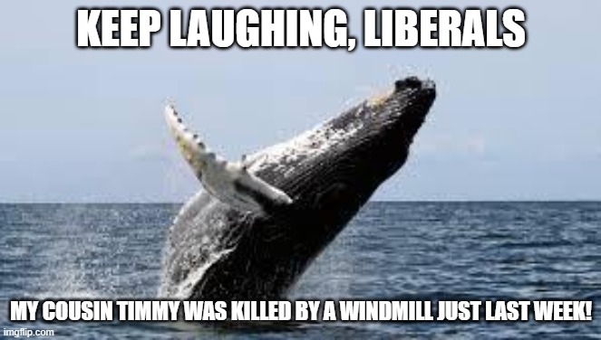 Whale. | KEEP LAUGHING, LIBERALS; MY COUSIN TIMMY WAS KILLED BY A WINDMILL JUST LAST WEEK! | image tagged in whale | made w/ Imgflip meme maker