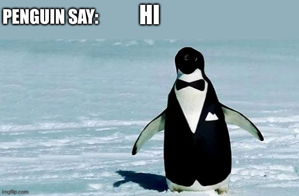 cocky_balls announcement temp | HI | image tagged in cocky_balls announcement temp | made w/ Imgflip meme maker