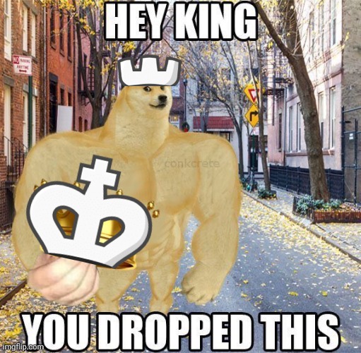 Hey king you dropped this | image tagged in hey king you dropped this | made w/ Imgflip meme maker