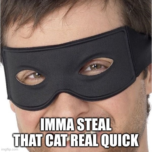 I stole your | IMMA STEAL THAT CAT REAL QUICK | image tagged in i stole your | made w/ Imgflip meme maker