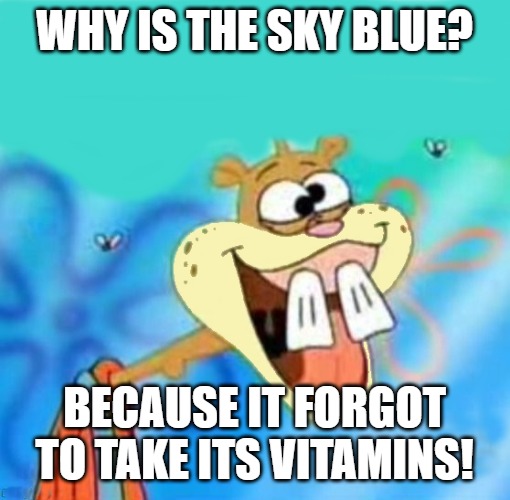 WHY IS THE SKY BLUE? BECAUSE IT FORGOT TO TAKE ITS VITAMINS! | image tagged in stupid | made w/ Imgflip meme maker