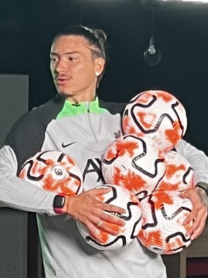 Darwizzy Blank Meme Template