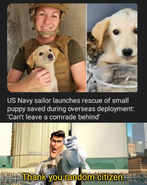 US Navy sailor saved puppy, yay | Thank you random citizen. | image tagged in megamind thank you random citizen,dogs,dog,memes,us navy sailor,puppy | made w/ Imgflip meme maker