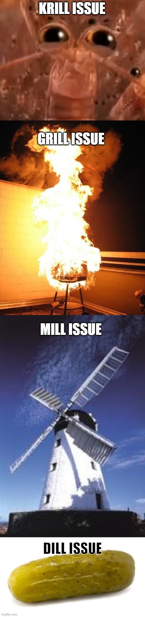 KRILL ISSUE GRILL ISSUE MILL ISSUE DILL ISSUE | image tagged in krillion face,bbq grill on fire,windmill91,pickle | made w/ Imgflip meme maker