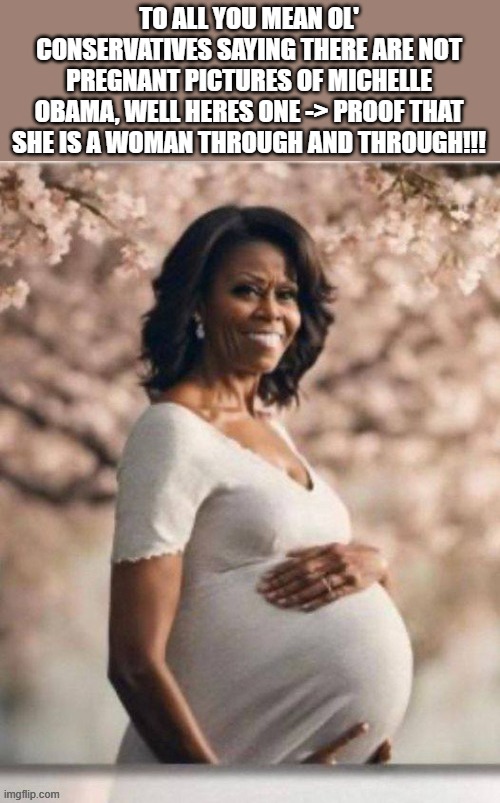 This looks...right..right? | TO ALL YOU MEAN OL' CONSERVATIVES SAYING THERE ARE NOT PREGNANT PICTURES OF MICHELLE OBAMA, WELL HERES ONE -> PROOF THAT SHE IS A WOMAN THROUGH AND THROUGH!!! | image tagged in funny memes,political meme,politics lol,obama,clown,truth | made w/ Imgflip meme maker