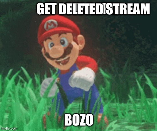 Get Low Rated Bozo | DELETED STREAM | image tagged in get low rated bozo | made w/ Imgflip meme maker
