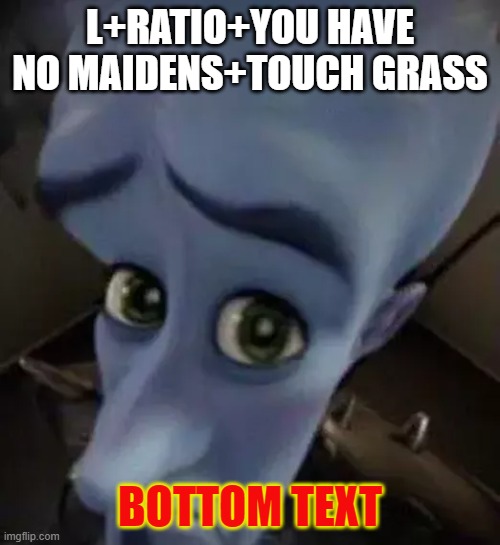 Touch grass | L+RATIO+YOU HAVE NO MAIDENS+TOUCH GRASS; BOTTOM TEXT | image tagged in funny | made w/ Imgflip meme maker