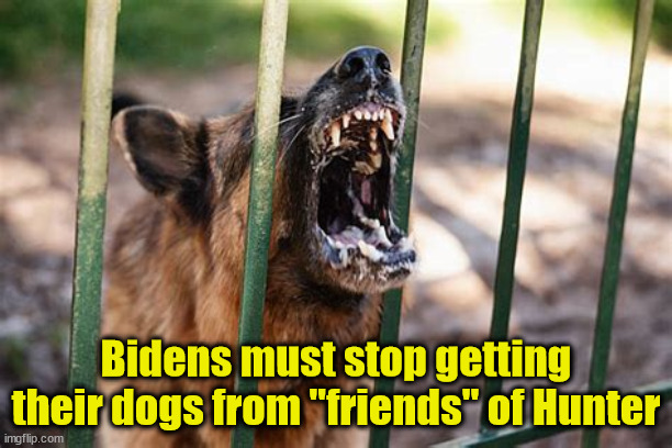 Drug Dealer Dogs Tend to Bite | Bidens must stop getting their dogs from "friends" of Hunter | image tagged in joe biden,hunter biden,drug dealer | made w/ Imgflip meme maker