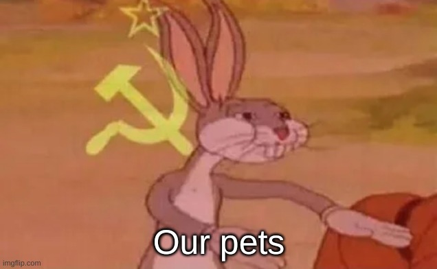 Bugs bunny communist | Our pets | image tagged in bugs bunny communist | made w/ Imgflip meme maker