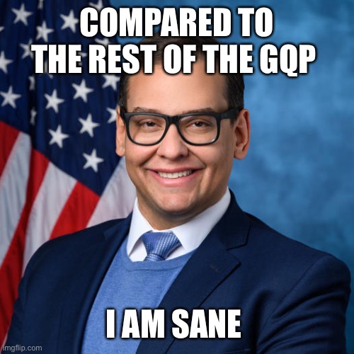 George Santos | COMPARED TO THE REST OF THE GQP; I AM SANE | image tagged in george santos | made w/ Imgflip meme maker