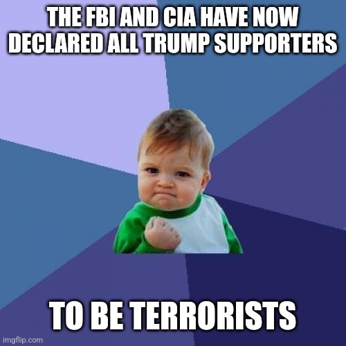 Success Kid Meme | THE FBI AND CIA HAVE NOW DECLARED ALL TRUMP SUPPORTERS; TO BE TERRORISTS | image tagged in memes,success kid | made w/ Imgflip meme maker