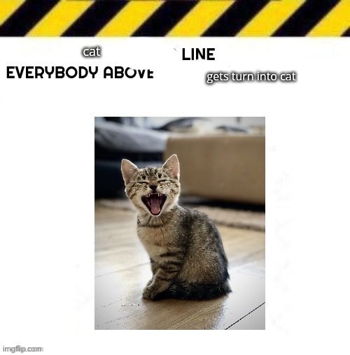 Blank line start | cat; gets turn into cat | image tagged in blank line start | made w/ Imgflip meme maker