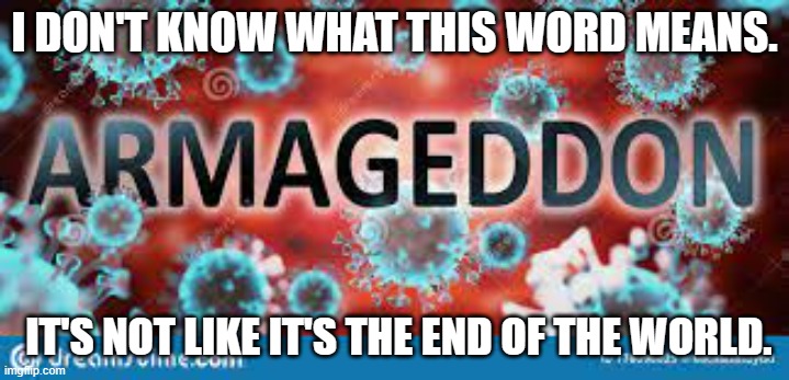 meme by Brad Armagedon | I DON'T KNOW WHAT THIS WORD MEANS. IT'S NOT LIKE IT'S THE END OF THE WORLD. | image tagged in words | made w/ Imgflip meme maker