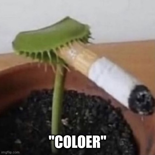 Plant smoking a cigarette | "COLOER" | made w/ Imgflip meme maker