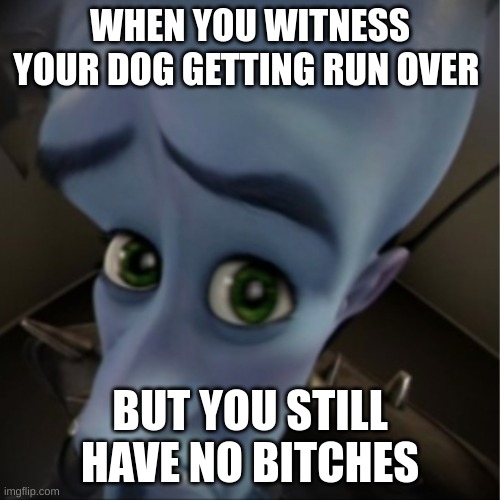 Megamind peeking | WHEN YOU WITNESS YOUR DOG GETTING RUN OVER; BUT YOU STILL HAVE NO BITCHES | image tagged in megamind peeking | made w/ Imgflip meme maker