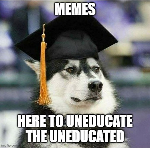 memes, huh, yeah What is it good for? | MEMES; HERE TO UNEDUCATE THE UNEDUCATED | image tagged in educated husky | made w/ Imgflip meme maker