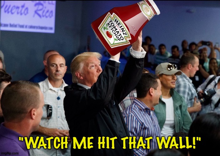 The Trump Toss | "WATCH ME HIT THAT WALL!" | image tagged in trump | made w/ Imgflip meme maker