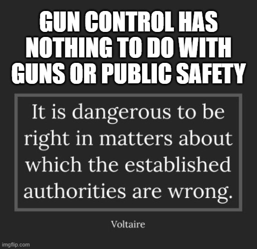 Gun Control | GUN CONTROL HAS NOTHING TO DO WITH GUNS OR PUBLIC SAFETY | image tagged in gun | made w/ Imgflip meme maker