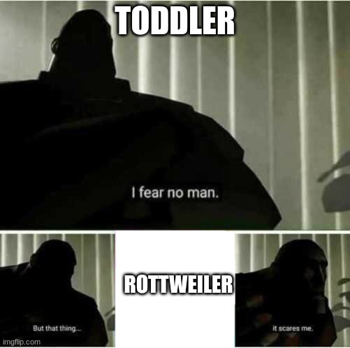 I fear no man | TODDLER; ROTTWEILER | image tagged in i fear no man | made w/ Imgflip meme maker