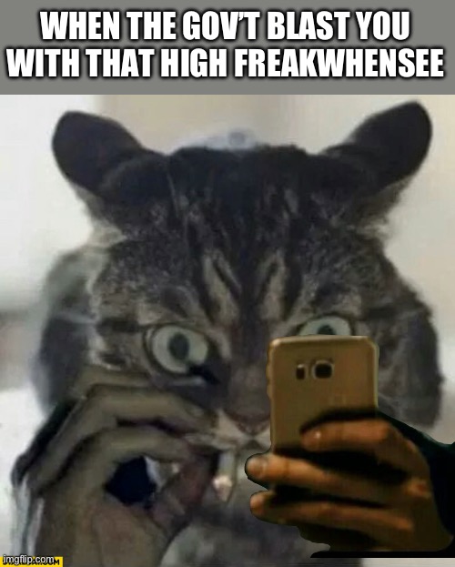 EBS purrfection | WHEN THE GOV’T BLAST YOU WITH THAT HIGH FREAKWHENSEE | image tagged in smoking cat looks like matthew mcconaughey | made w/ Imgflip meme maker