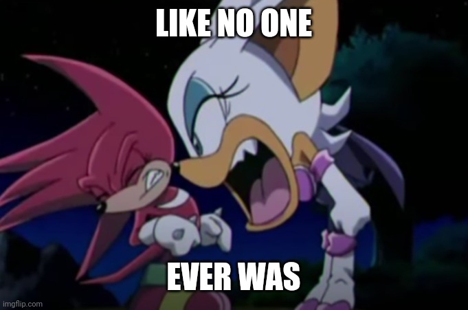 rouge yelling at knuckles | LIKE NO ONE; EVER WAS | image tagged in rouge yelling at knuckles | made w/ Imgflip meme maker
