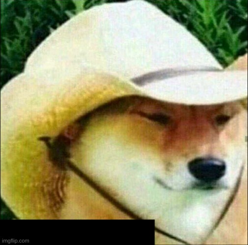 Cowboy Doge | image tagged in cowboy doge | made w/ Imgflip meme maker