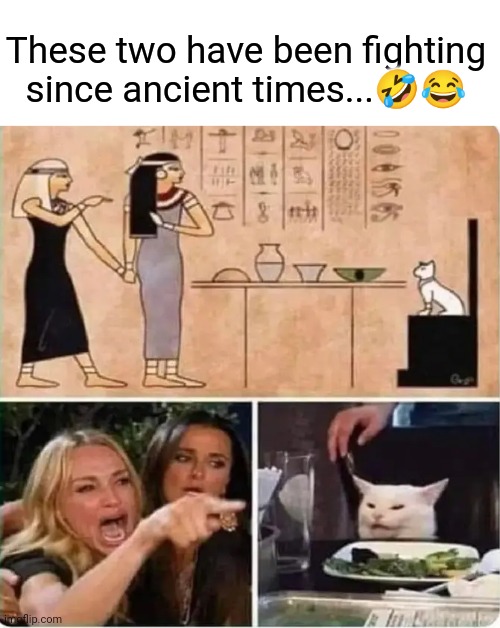 Ancient meme | These two have been fighting since ancient times...🤣😂 | image tagged in memes | made w/ Imgflip meme maker