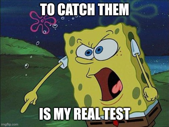 Spongebob Yelling | TO CATCH THEM IS MY REAL TEST | image tagged in spongebob yelling | made w/ Imgflip meme maker