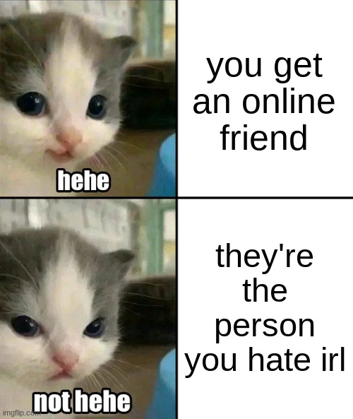 not hehe at all | you get an online friend; they're the person you hate irl | image tagged in cute cat hehe and not hehe | made w/ Imgflip meme maker