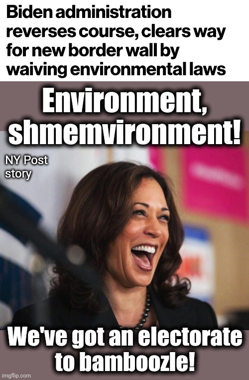 Proof that "Team Biden" thinks their supporters are morons | Environment,
shmemvironment! NY Post
story; We've got an electorate
to bamboozle! | image tagged in cackling kamala harris,border wall,open borders,democrats,migrants,election 2024 | made w/ Imgflip meme maker