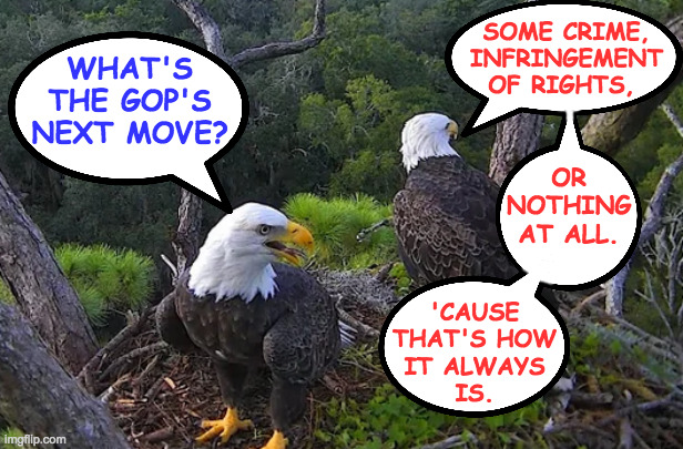 Two eagles talkin'. | SOME CRIME,
INFRINGEMENT
OF RIGHTS, WHAT'S
THE GOP'S
NEXT MOVE? OR
NOTHING
AT ALL. 'CAUSE
THAT'S HOW
IT ALWAYS
IS. | image tagged in memes,gop | made w/ Imgflip meme maker