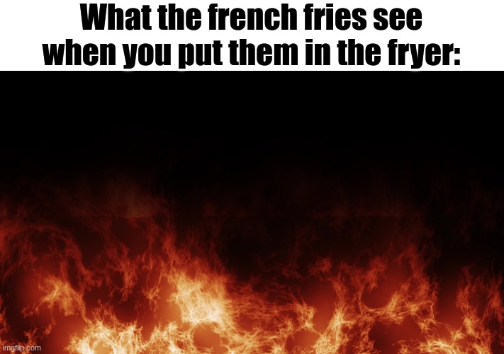fry | What the french fries see when you put them in the fryer: | image tagged in fire burning everywhere,french fries,pov | made w/ Imgflip meme maker