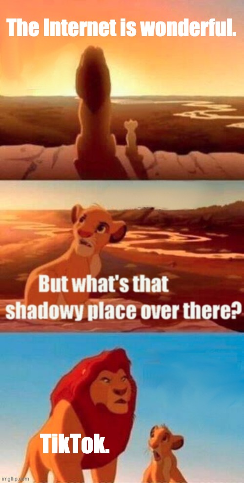 Simba Shadowy Place Meme | The Internet is wonderful. TikTok. | image tagged in memes,simba shadowy place | made w/ Imgflip meme maker