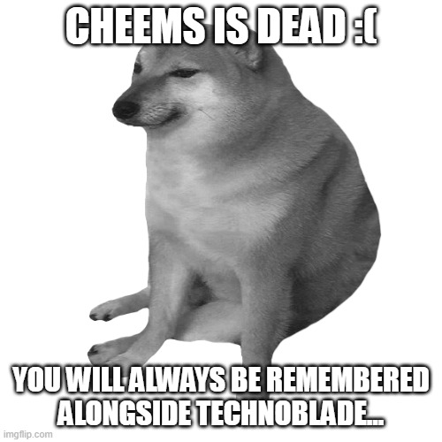 cheems | CHEEMS IS DEAD :( YOU WILL ALWAYS BE REMEMBERED ALONGSIDE TECHNOBLADE... | image tagged in cheems | made w/ Imgflip meme maker