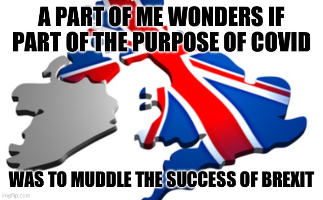 I’d like to hear other thoughts, especially any British. | A PART OF ME WONDERS IF PART OF THE PURPOSE OF COVID; WAS TO MUDDLE THE SUCCESS OF BREXIT | image tagged in brexit,politics,covid,conspiracy theory,new world order | made w/ Imgflip meme maker