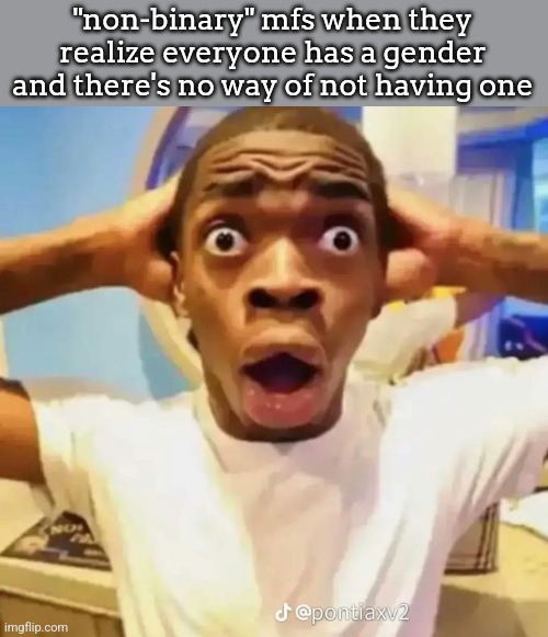 no, I'm not homophobic. | "non-binary" mfs when they realize everyone has a gender and there's no way of not having one | image tagged in shocked black guy | made w/ Imgflip meme maker