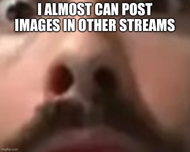 Close up moist | I ALMOST CAN POST IMAGES IN OTHER STREAMS | image tagged in close up moist | made w/ Imgflip meme maker