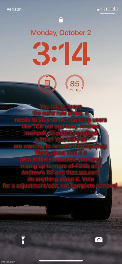 Think, munchkins, THINK | You idiots, leave the nsfw rule alone. It needs to stay so we can keep users like TCK out and keep Andrew in check. Should it be edited a little? Yes, but y'all are wanting to remove it completely. Think about that if it gets entirely removed, you open msmg up to more of TCK's and Andrew's BS and then we can't do anything about it. Vote for a adjustment/edit, not complete removal. | image tagged in sallie may's hellcat temp | made w/ Imgflip meme maker