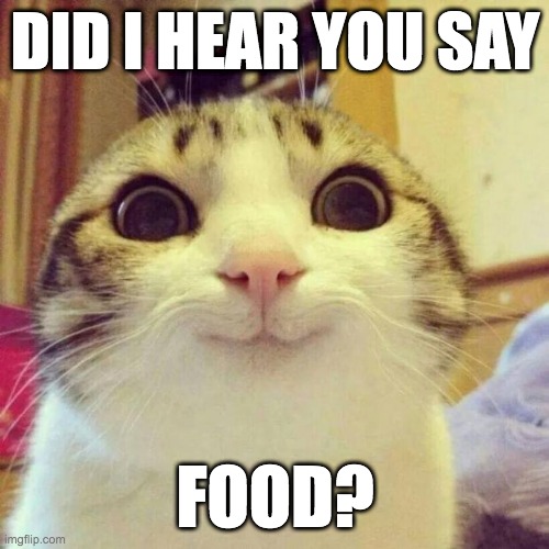 Smiling Cat | DID I HEAR YOU SAY; FOOD? | image tagged in memes,smiling cat | made w/ Imgflip meme maker