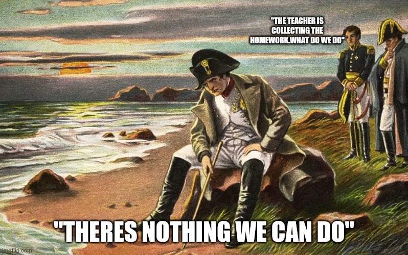 There's nothing we can do | "THE TEACHER IS COLLECTING THE HOMEWORK.WHAT DO WE DO"; "THERES NOTHING WE CAN DO" | image tagged in napoleon,sad,meme | made w/ Imgflip meme maker
