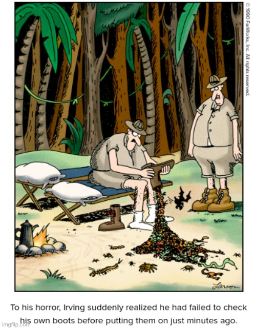 just go camping-its true. | image tagged in comics/cartoons | made w/ Imgflip meme maker