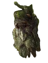 High Quality Treebeard Blank Meme Template