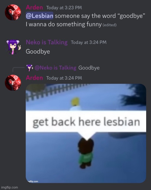 Whoever posted that image thank you | image tagged in discord,funny,memes,lesbian,roblox | made w/ Imgflip meme maker