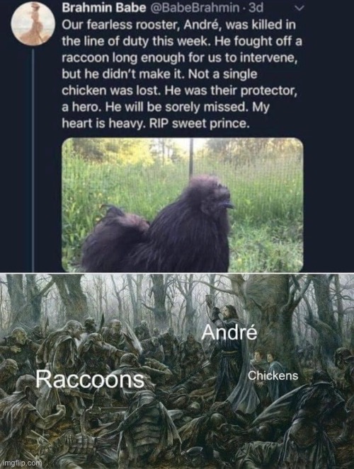 RIP andre | made w/ Imgflip meme maker