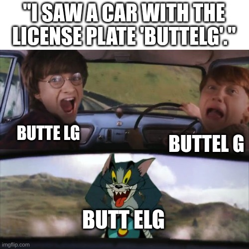 it was at school today | "I SAW A CAR WITH THE LICENSE PLATE 'BUTTELG'."; BUTTE LG; BUTTEL G; BUTT ELG | image tagged in harry potter tom cat meme,butt | made w/ Imgflip meme maker