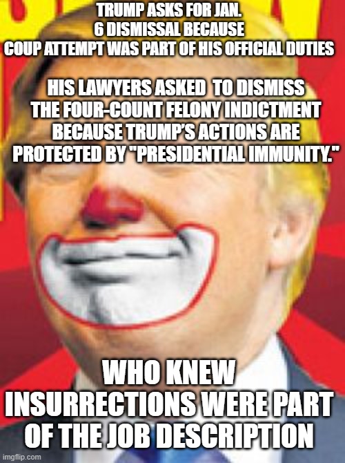 insurrectionist, failed potus, convicted rapist | TRUMP ASKS FOR JAN. 6 DISMISSAL BECAUSE COUP ATTEMPT WAS PART OF HIS OFFICIAL DUTIES; HIS LAWYERS ASKED  TO DISMISS THE FOUR-COUNT FELONY INDICTMENT BECAUSE TRUMP’S ACTIONS ARE PROTECTED BY "PRESIDENTIAL IMMUNITY."; WHO KNEW INSURRECTIONS WERE PART OF THE JOB DESCRIPTION | image tagged in donald trump the clown | made w/ Imgflip meme maker